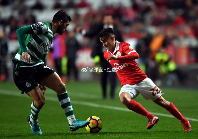 赛地聚焦——欧超杯窗口期热度飙升,本菲卡刷新队史纪录,引发热议,球探报告显示潜力的简单介绍-9体育